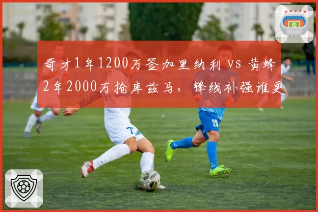 奇才1年1200万签加里纳利 vs 黄蜂2年2000万抢库兹马，锋线补强谁更明智