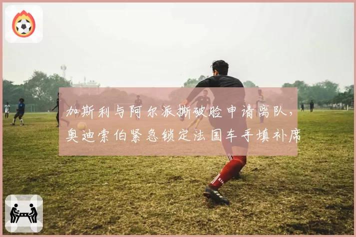 加斯利与阿尔派撕破脸申请离队，奥迪索伯紧急锁定法国车手填补席位空缺