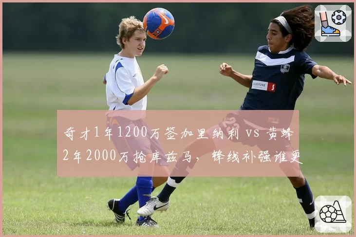 奇才1年1200万签加里纳利 vs 黄蜂2年2000万抢库兹马，锋线补强谁更明智