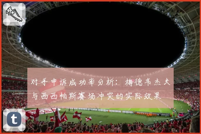 对手申诉成功率分析:梅德韦杰夫与西西帕斯赛场冲突的实际效果