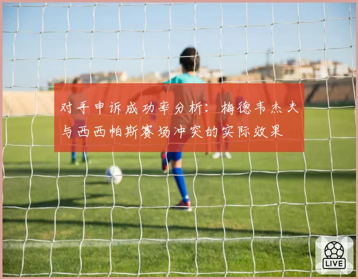 对手申诉成功率分析:梅德韦杰夫与西西帕斯赛场冲突的实际效果